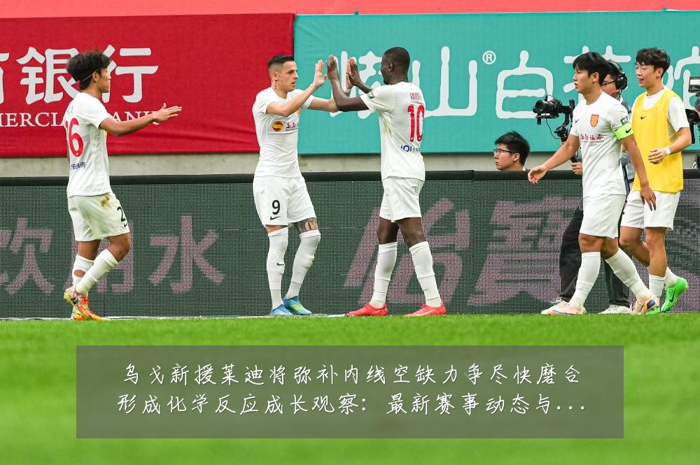 乌戈新援莱迪将弥补内线空缺力争尽快磨合形成化学反应成长观察:最新赛事动态与深度分析